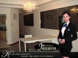 Kellock Lodge (D10), Apartment #132636262